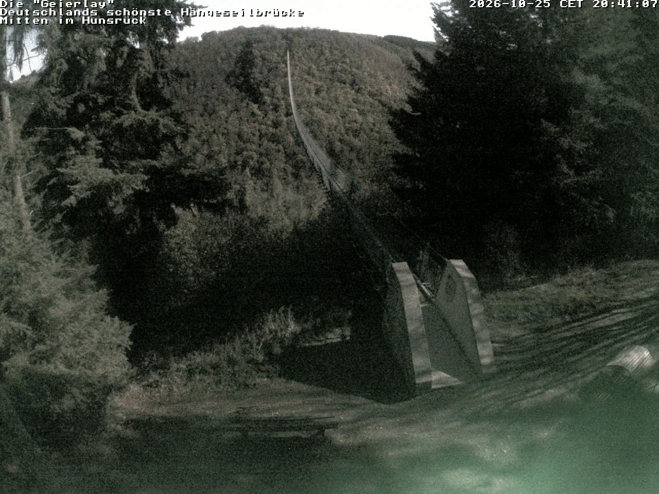 Archiv Foto Webcam Hängebrücke Geierlay bei Mörsdorf