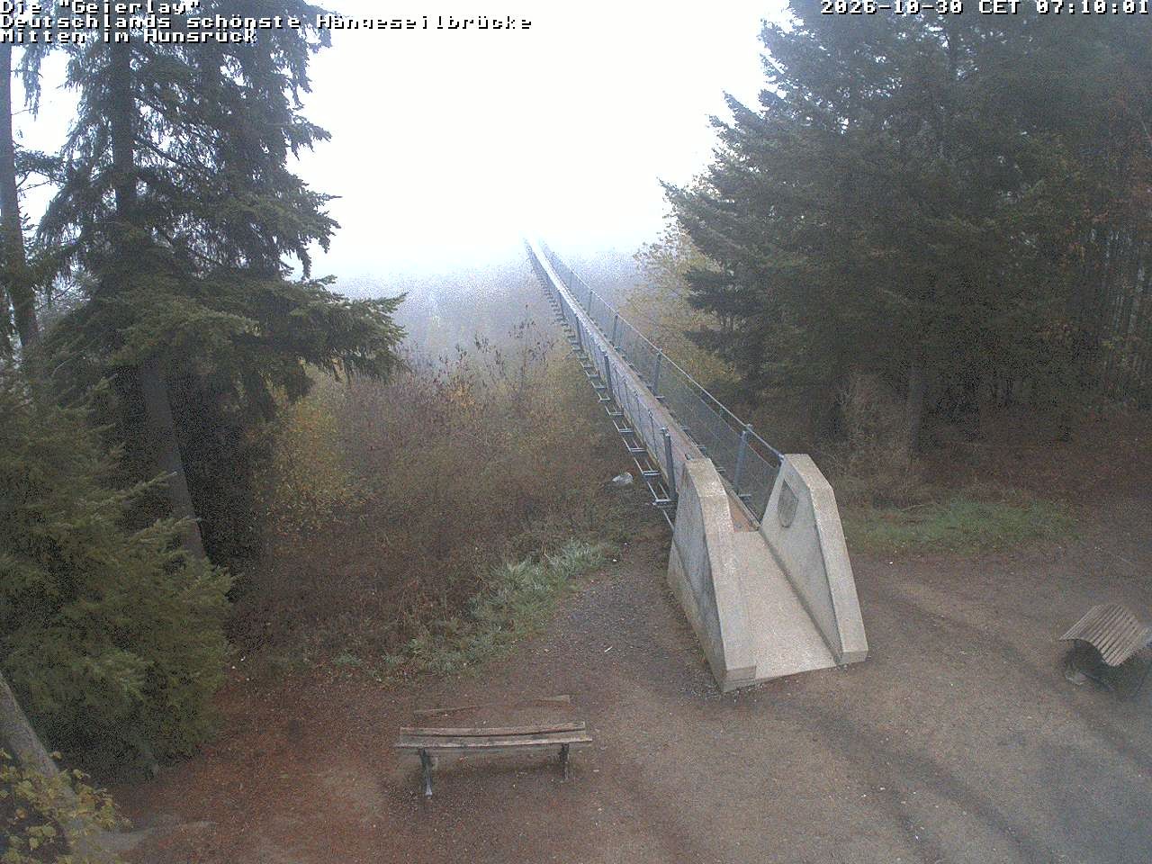 Archiv Foto Webcam Hängebrücke Geierlay bei Mörsdorf