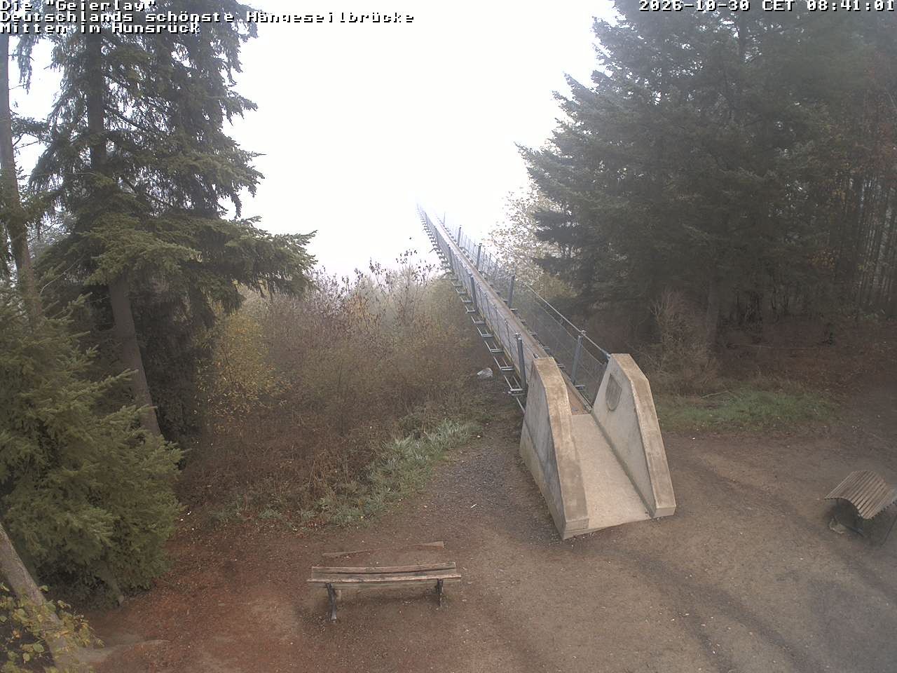 Archiv Foto Webcam Hängebrücke Geierlay bei Mörsdorf