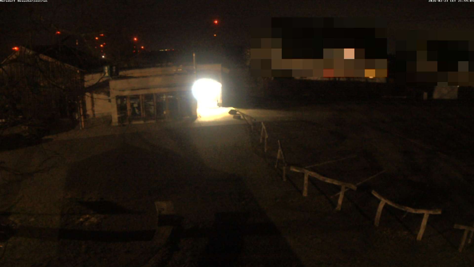 Archiv Foto Webcam Besucherzentrum Geierlay in Mörsdorf