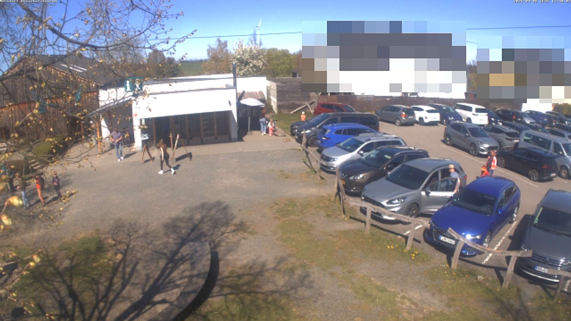 Archiv Foto Webcam Besucherzentrum Geierlay in Mörsdorf