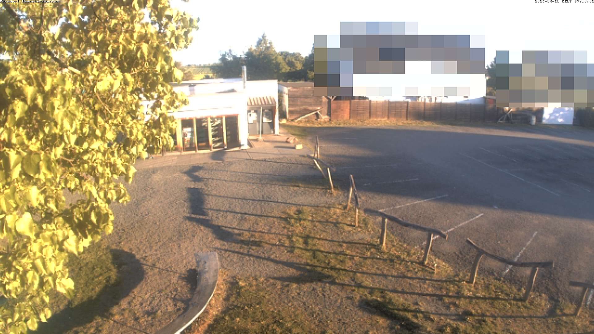 Archiv Foto Webcam Besucherzentrum Geierlay in Mörsdorf