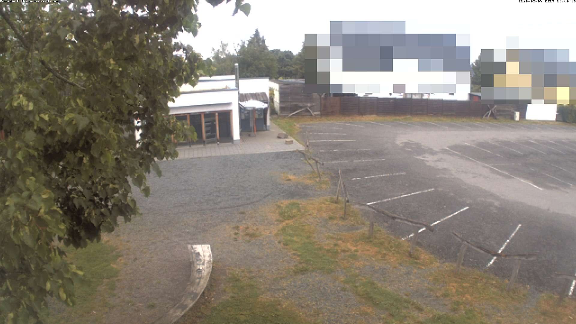 Archiv Foto Webcam Besucherzentrum Geierlay in Mörsdorf