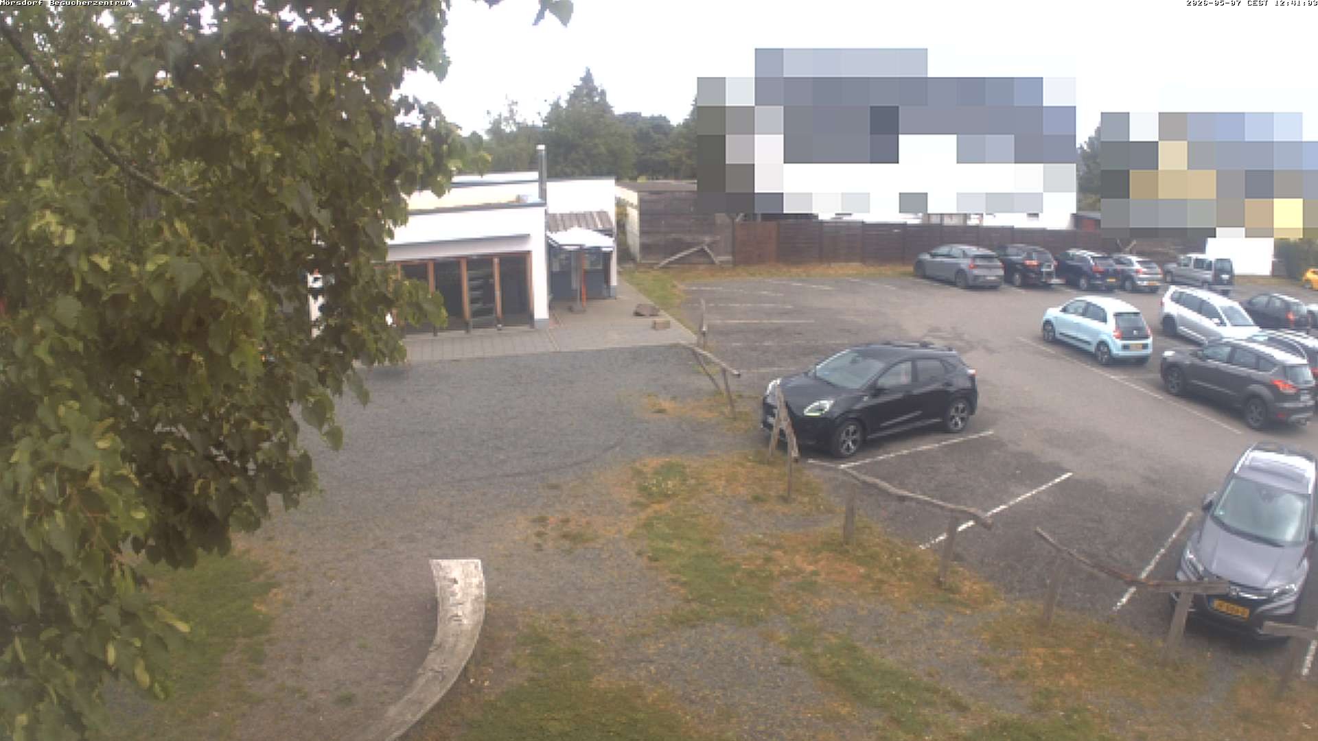 Archiv Foto Webcam Besucherzentrum Geierlay in Mörsdorf