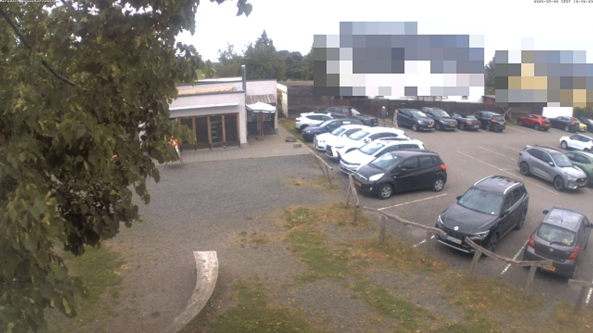 Archiv Foto Webcam Besucherzentrum Geierlay in Mörsdorf