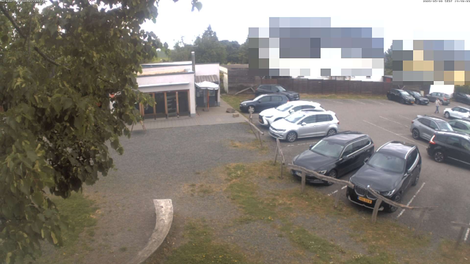 Archiv Foto Webcam Besucherzentrum Geierlay in Mörsdorf