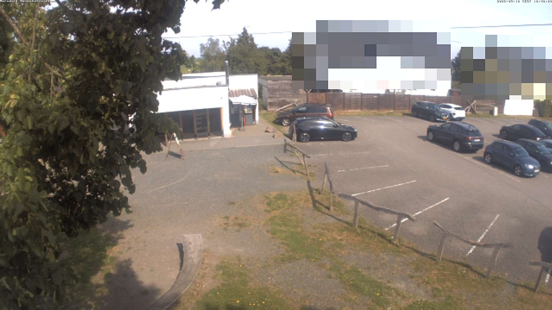 Archived image Webcam Geierlay Visitor Centre in Mörsdorf