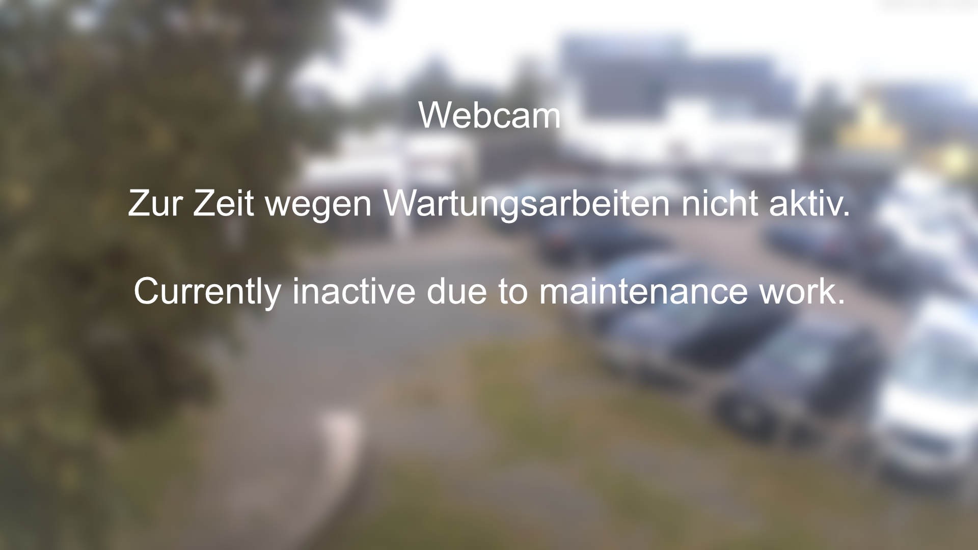 Archived image Webcam Geierlay Visitor Centre in Mörsdorf