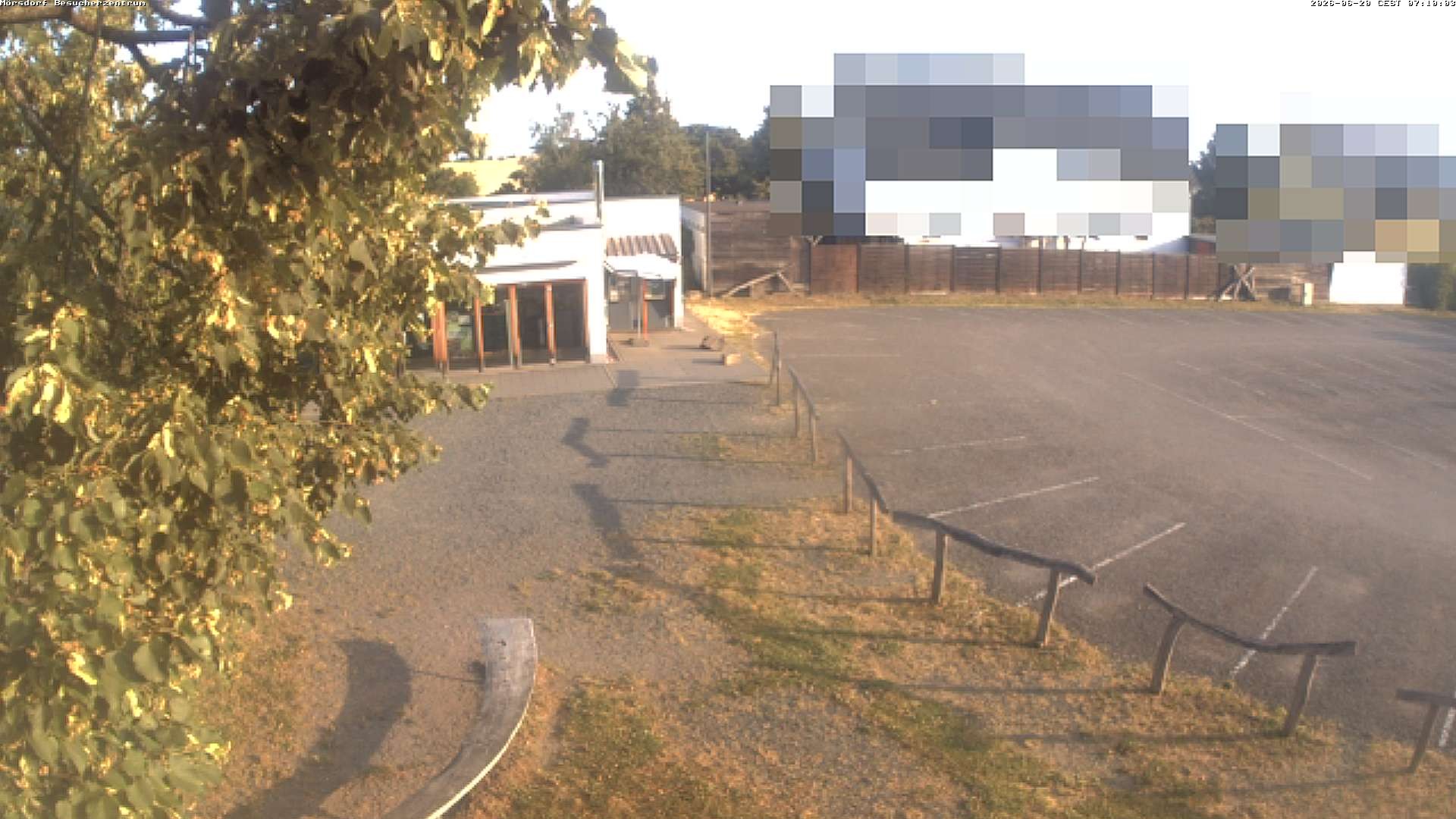 Archiv Foto Webcam Besucherzentrum Geierlay in Mörsdorf
