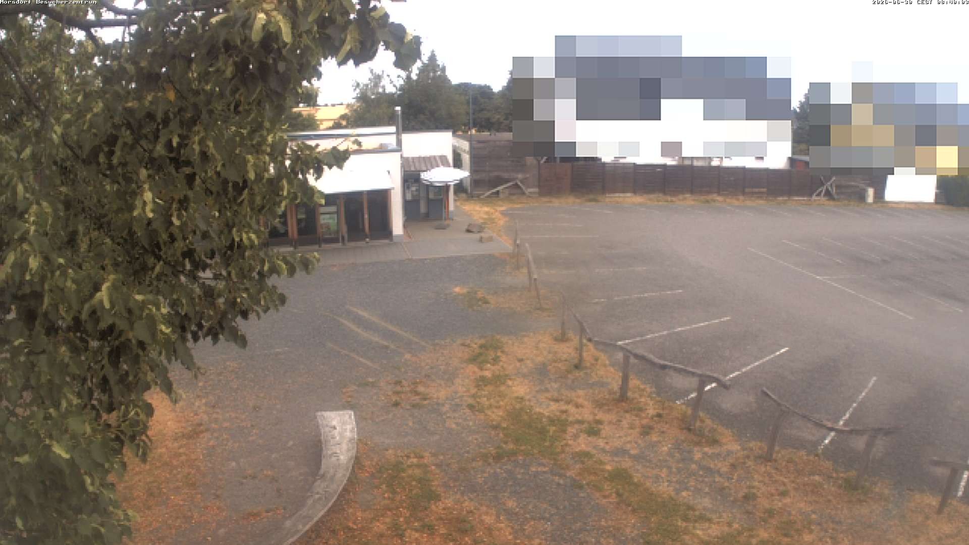 Archiv Foto Webcam Besucherzentrum Geierlay in Mörsdorf