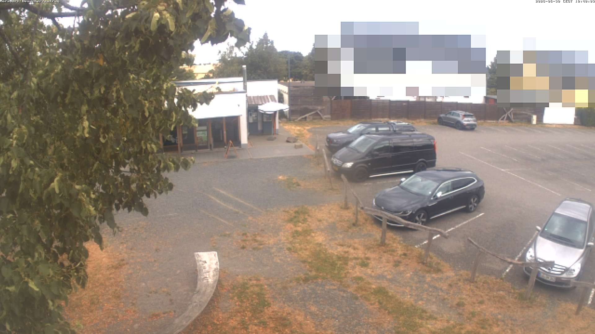 Archiv Foto Webcam Besucherzentrum Geierlay in Mörsdorf
