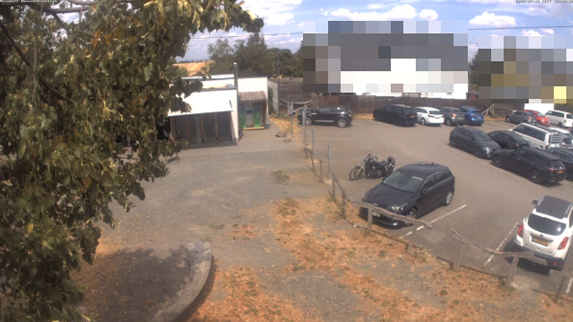 Archiv Foto Webcam Besucherzentrum Geierlay in Mörsdorf