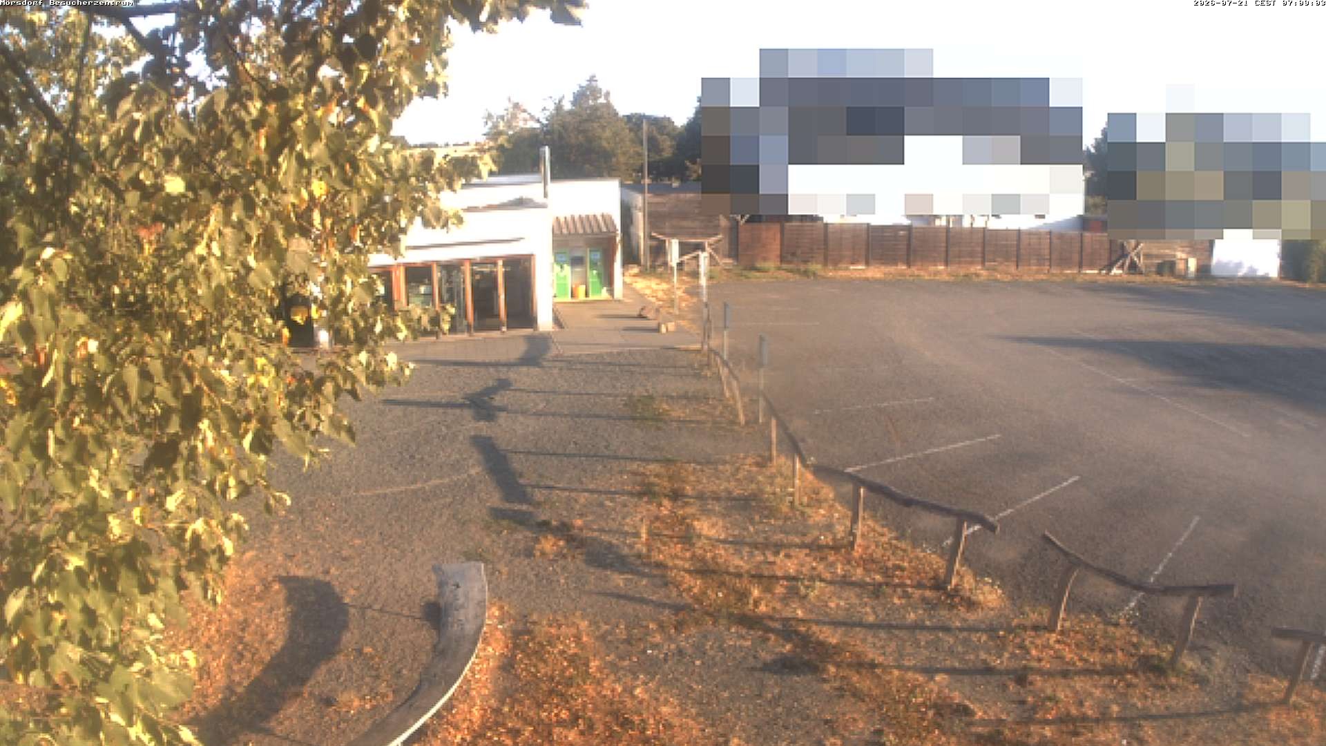Archiv Foto Webcam Besucherzentrum Geierlay in Mörsdorf