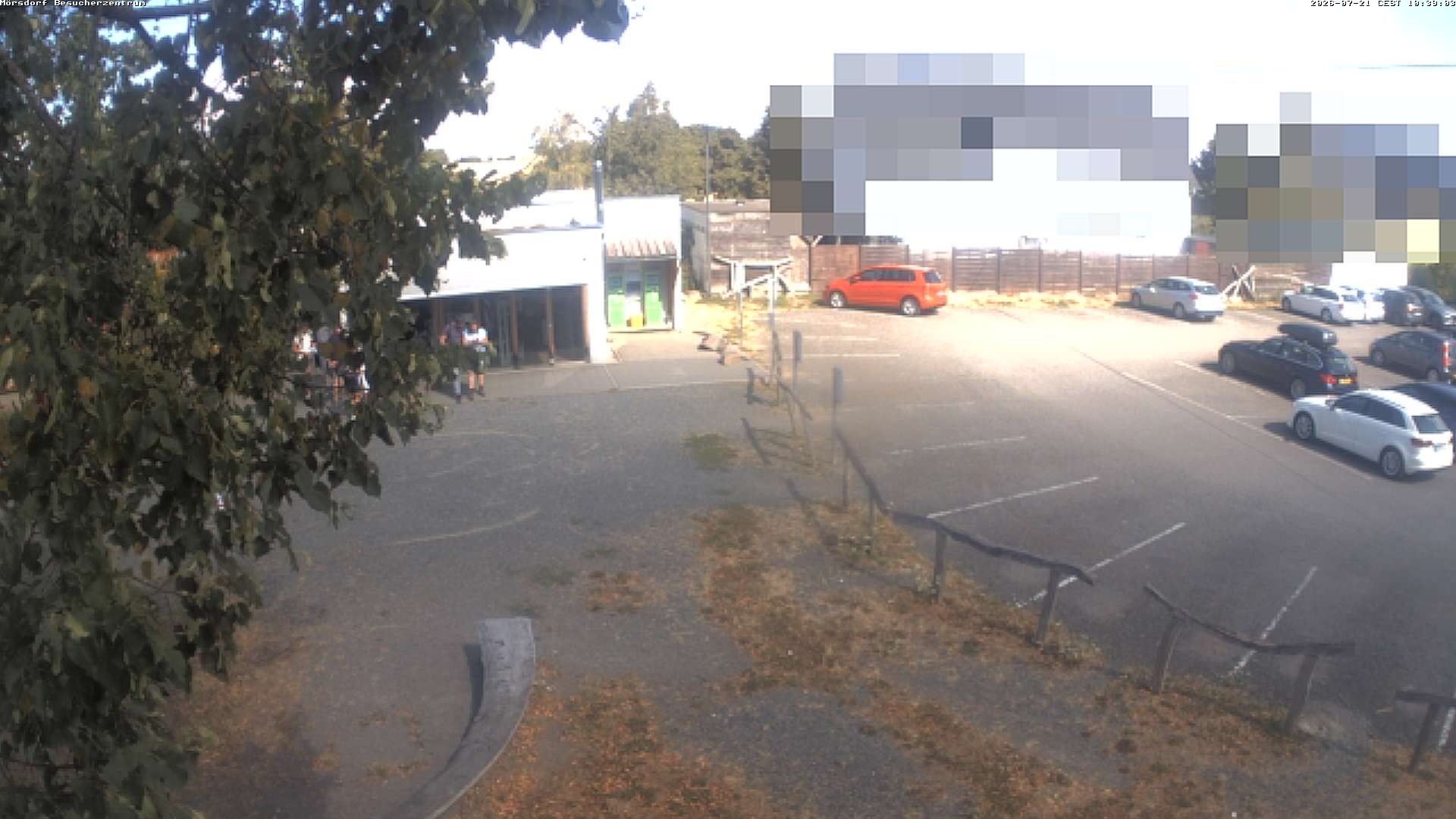 Archiv Foto Webcam Besucherzentrum Geierlay in Mörsdorf