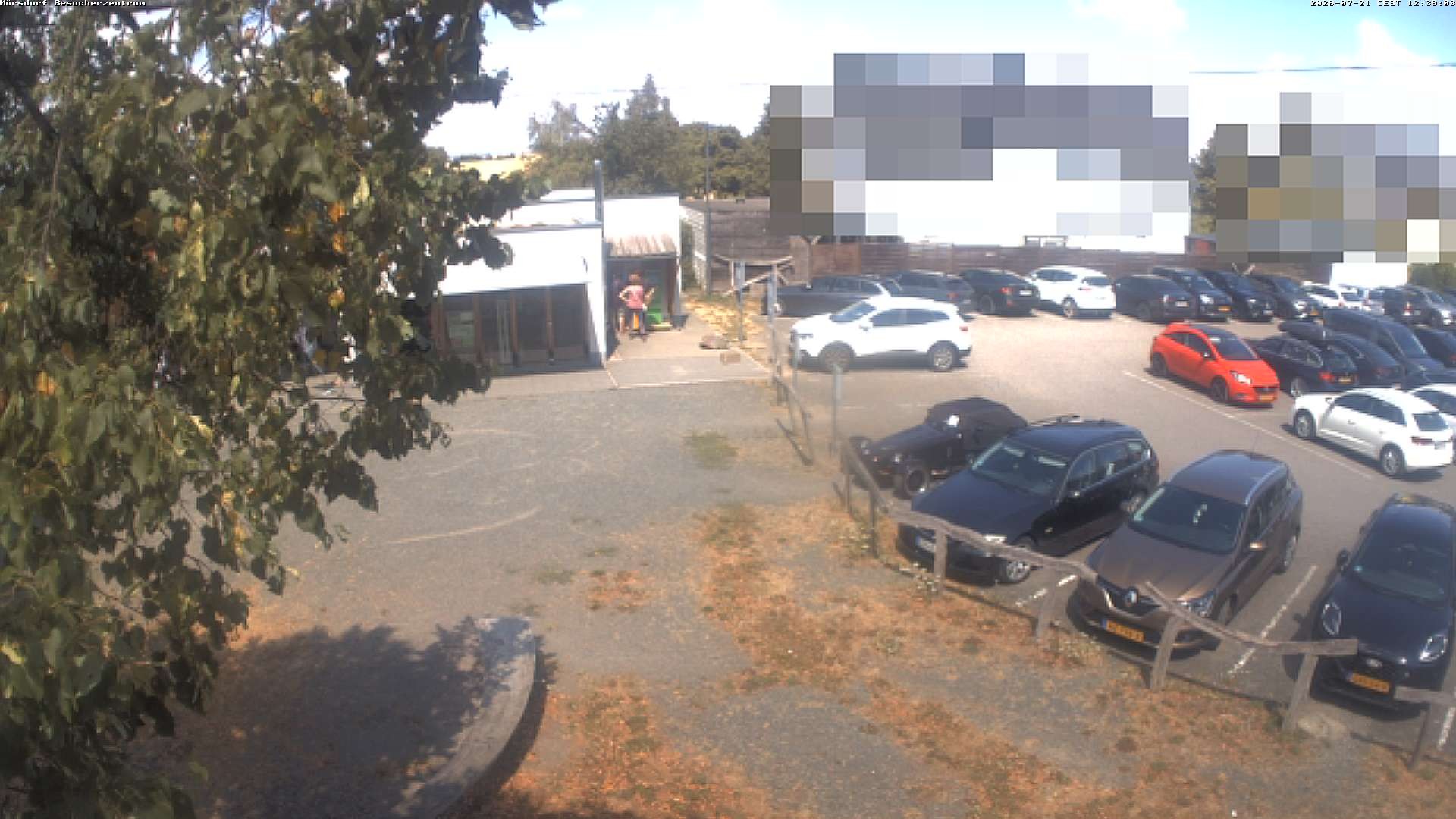 Archiv Foto Webcam Besucherzentrum Geierlay in Mörsdorf