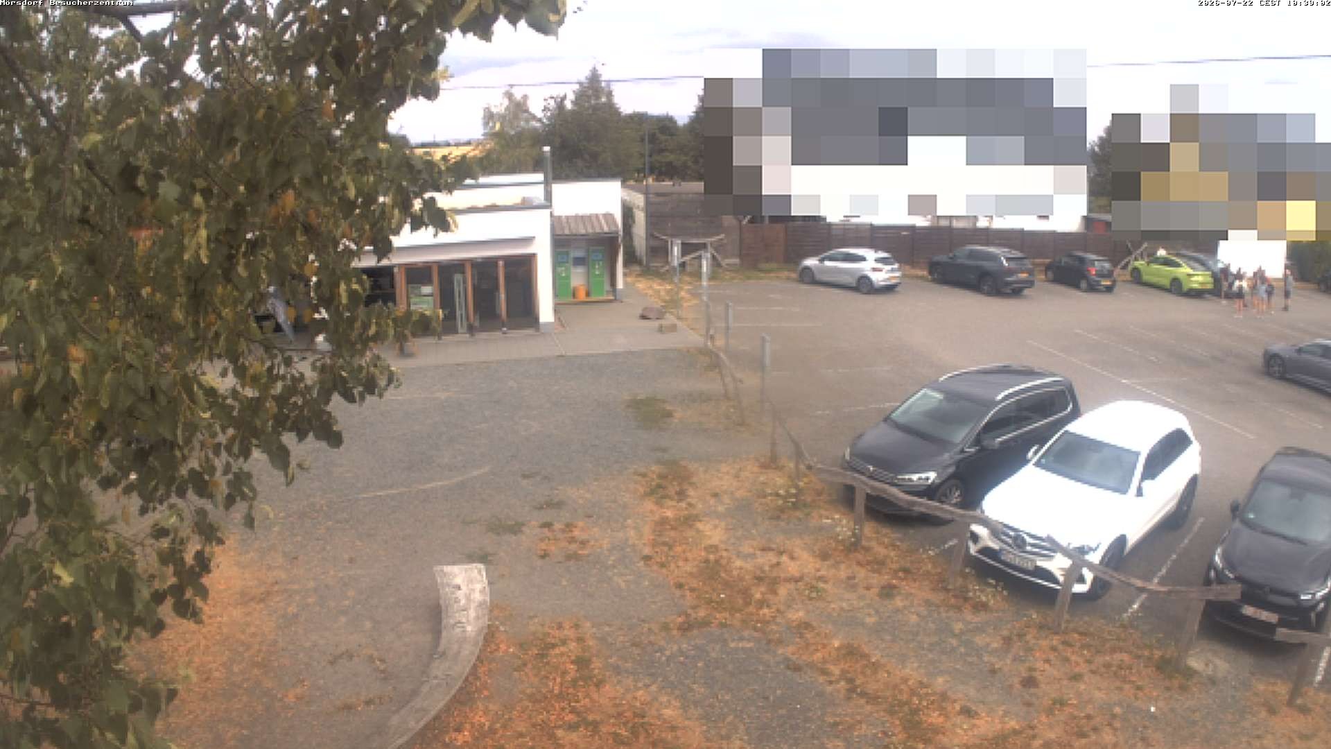 Archiv Foto Webcam Besucherzentrum Geierlay in Mörsdorf