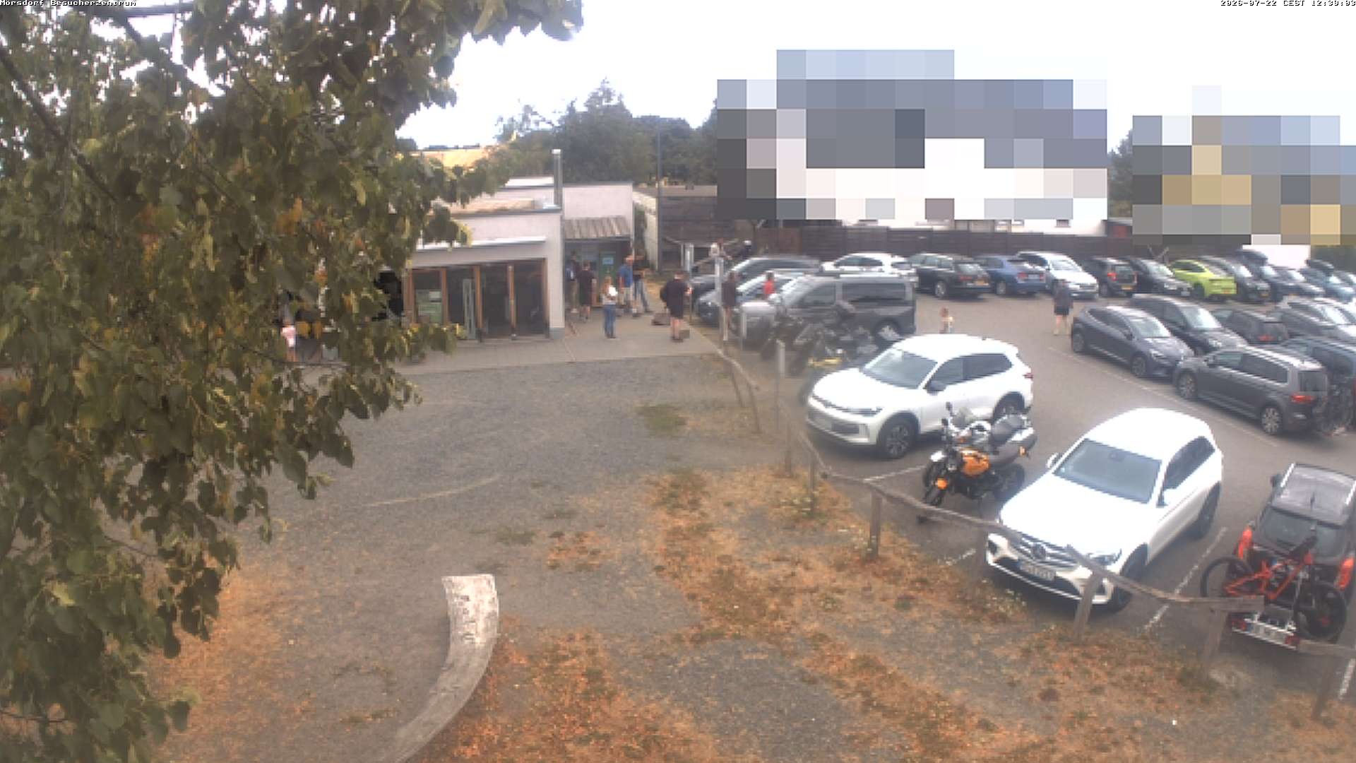 Archiv Foto Webcam Besucherzentrum Geierlay in Mörsdorf