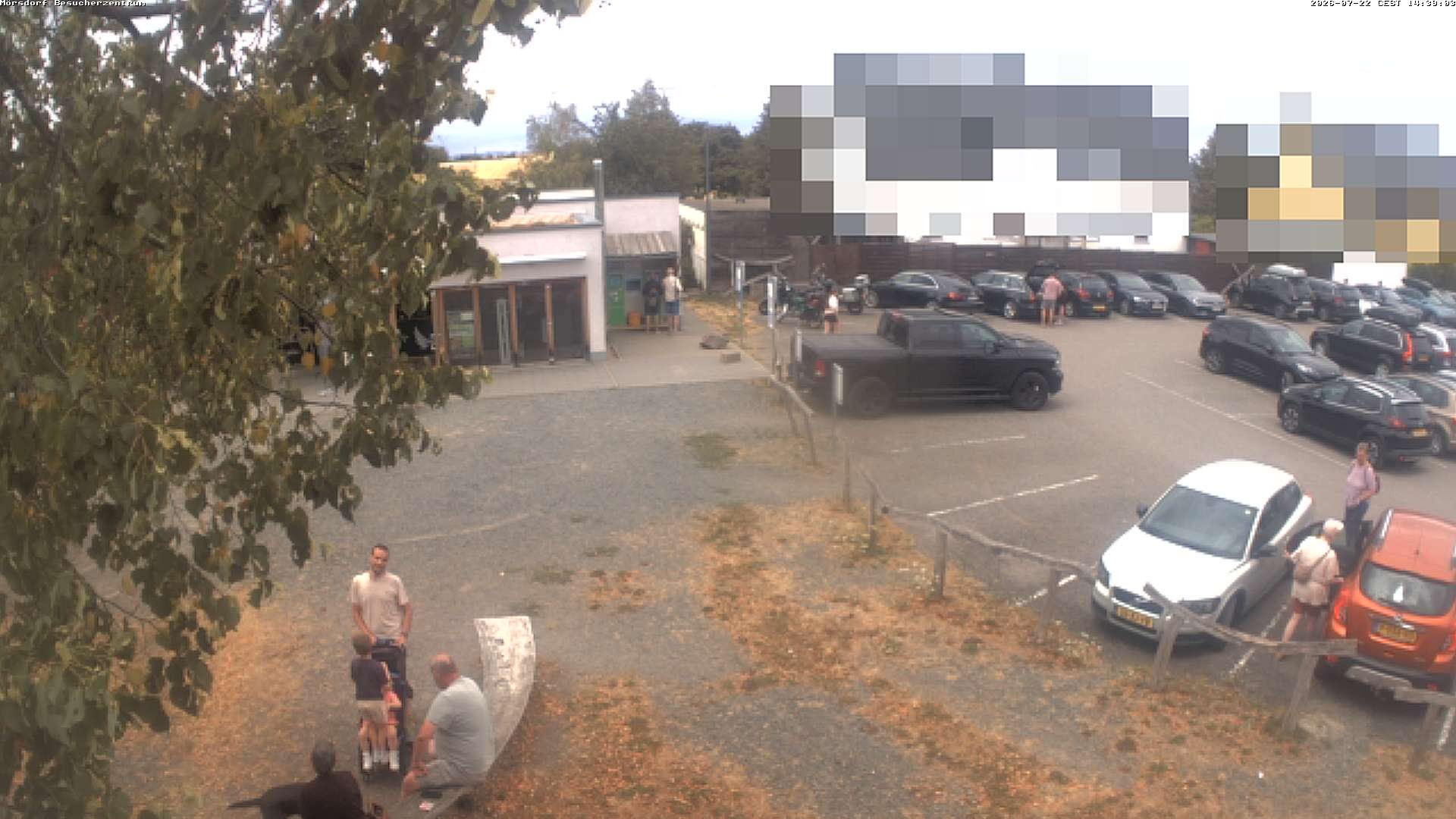 Archiv Foto Webcam Besucherzentrum Geierlay in Mörsdorf