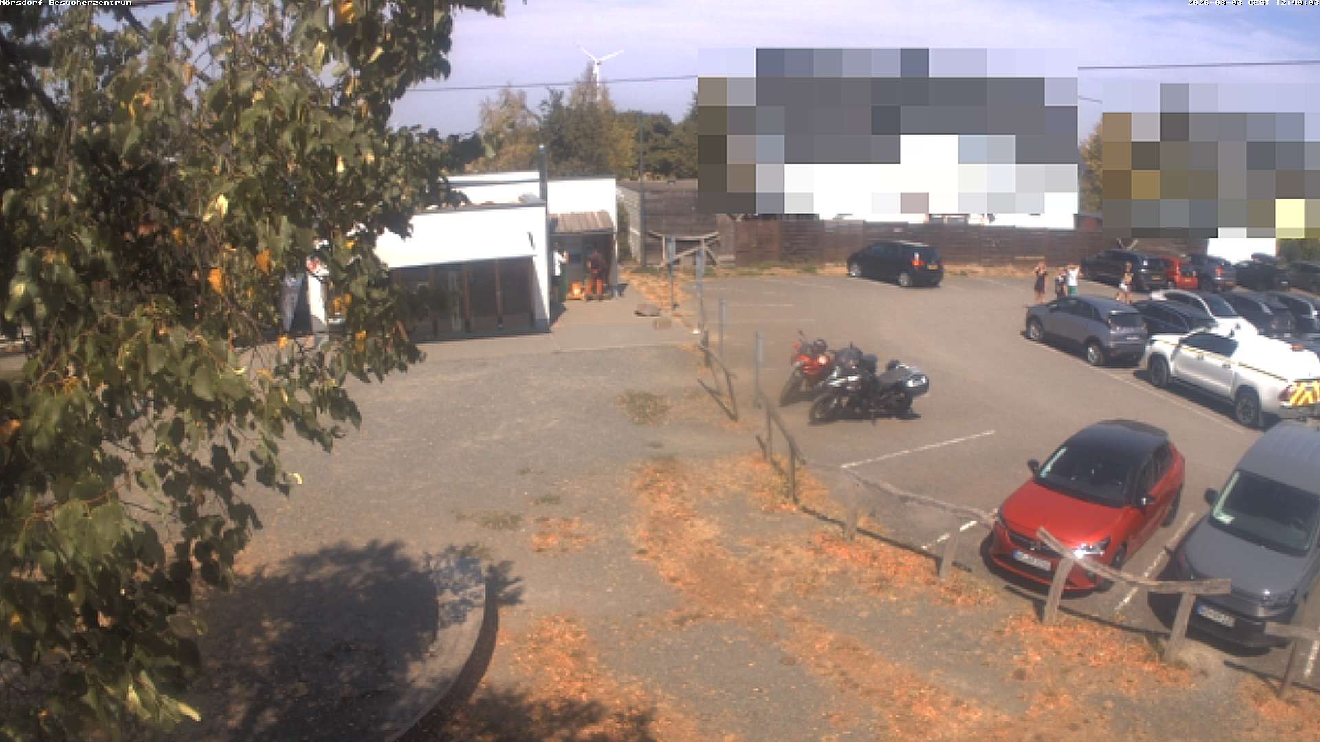 Archiv Foto Webcam Besucherzentrum Geierlay in Mörsdorf