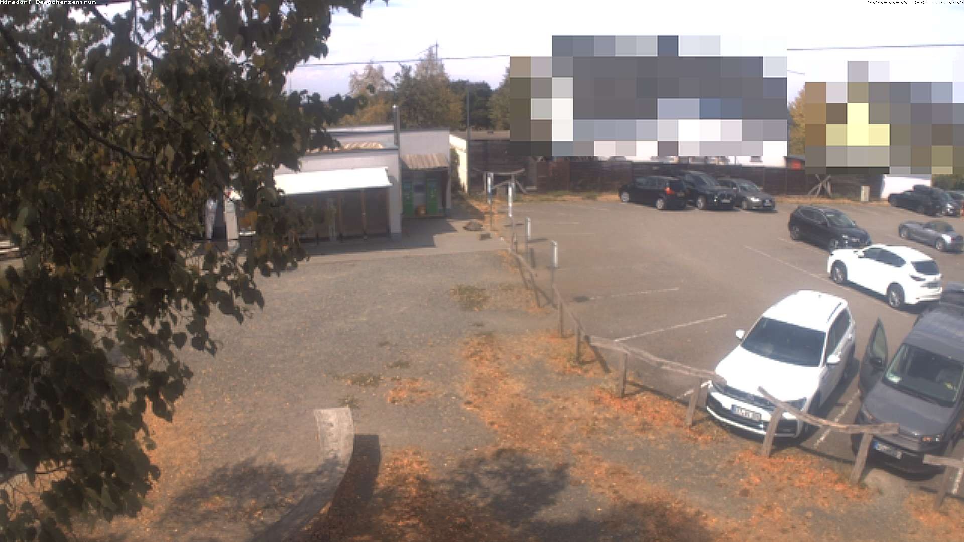 Archiv Foto Webcam Besucherzentrum Geierlay in Mörsdorf