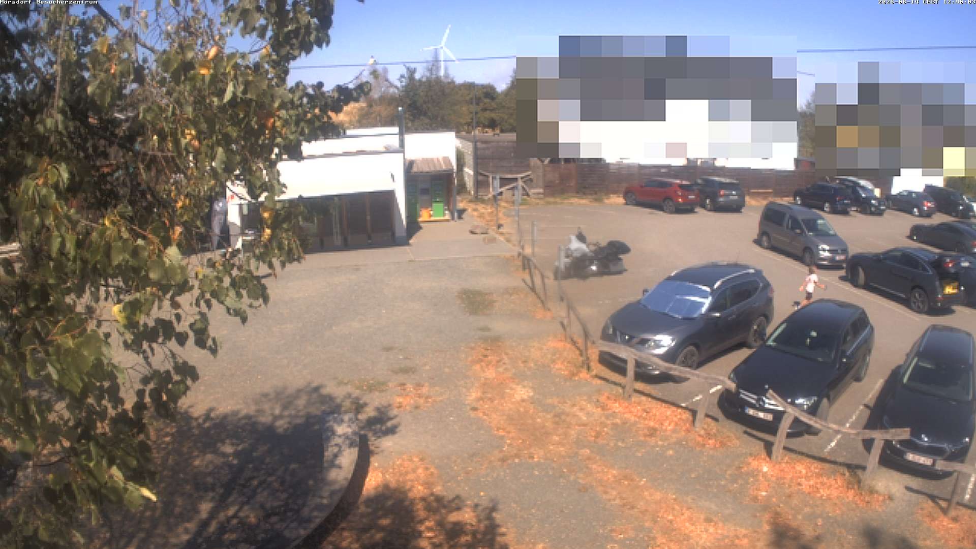 Archiv Foto Webcam Besucherzentrum Geierlay in Mörsdorf