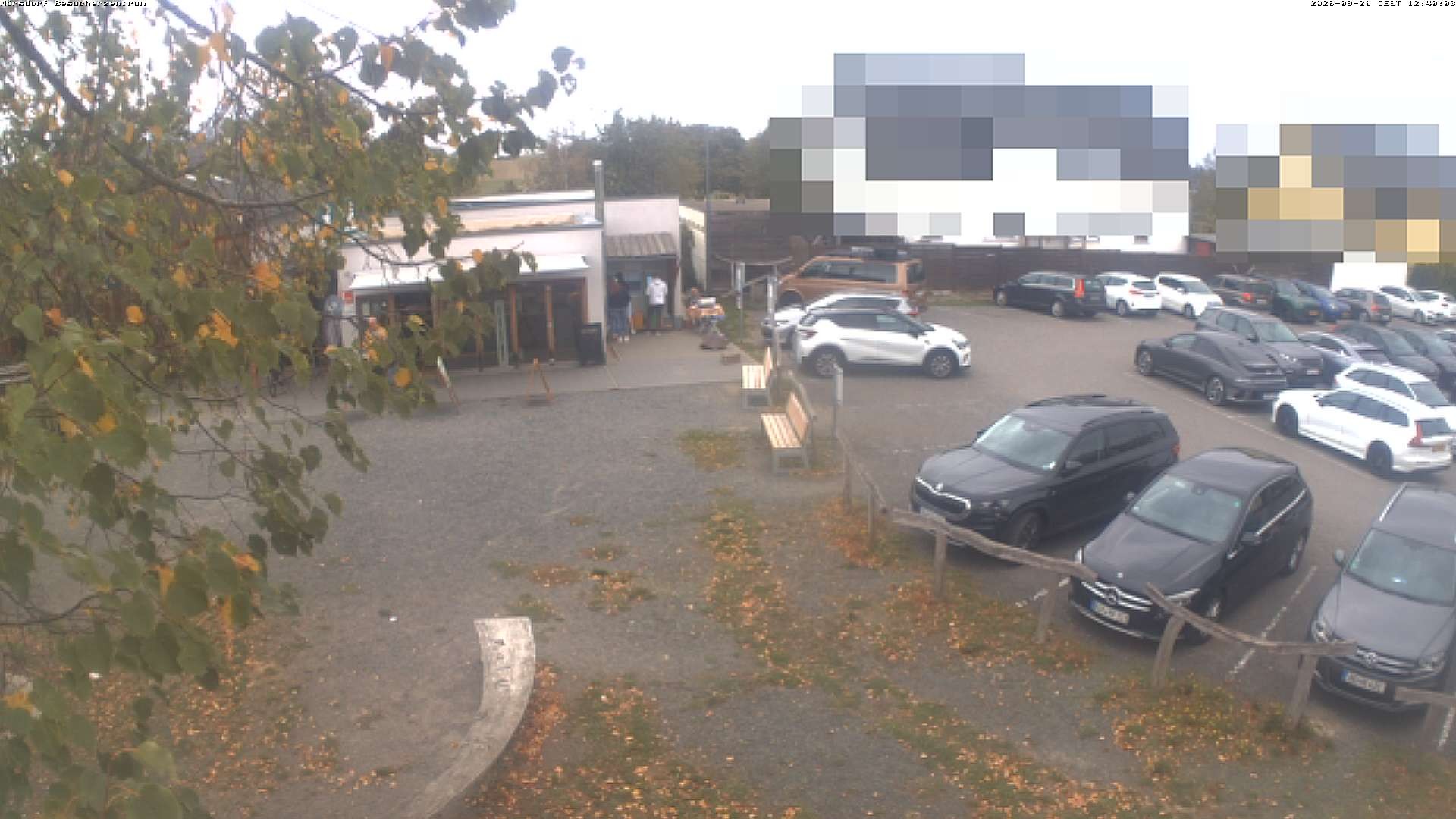 Archiv Foto Webcam Besucherzentrum Geierlay in Mörsdorf
