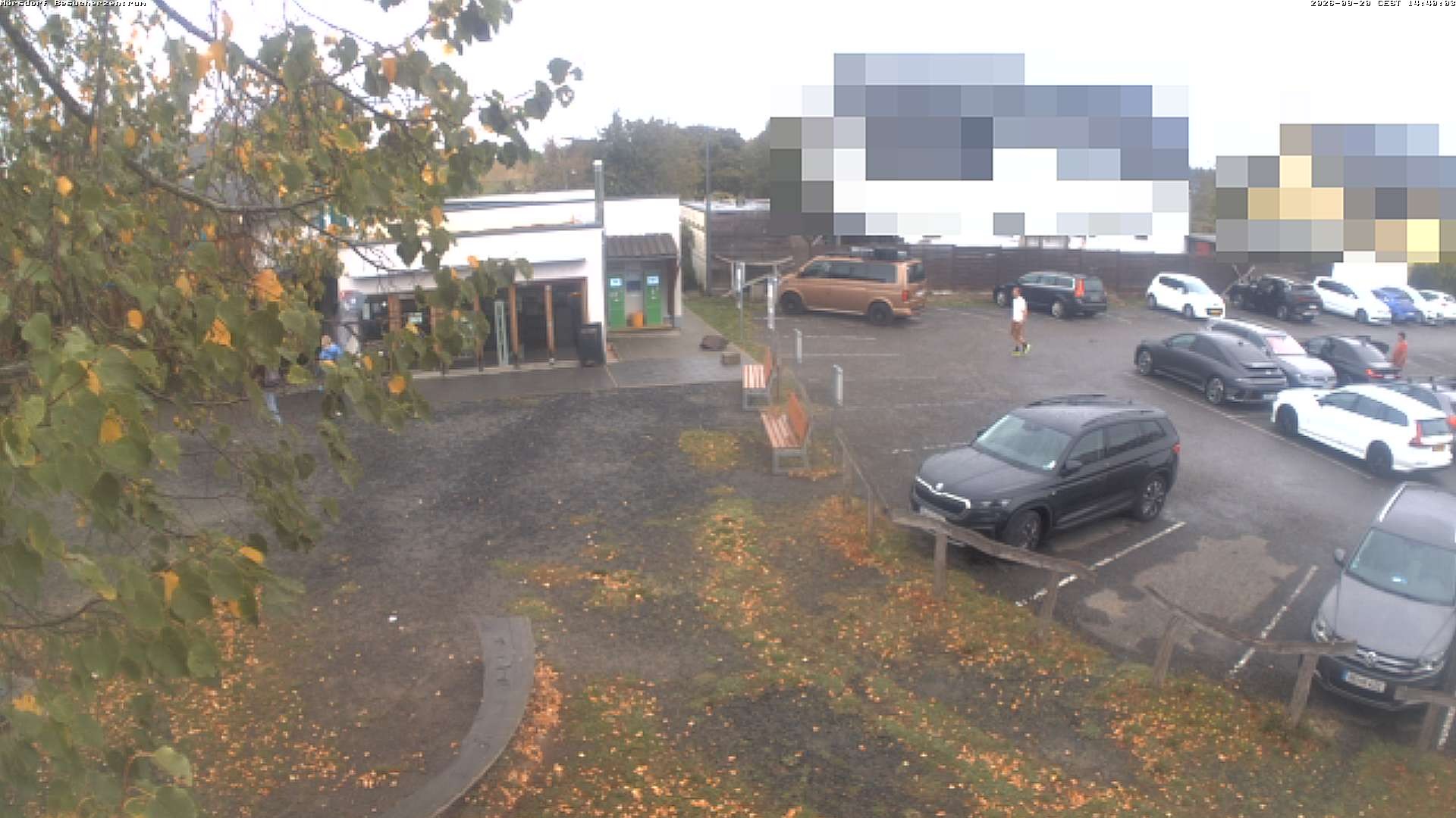 Archiv Foto Webcam Besucherzentrum Geierlay in Mörsdorf