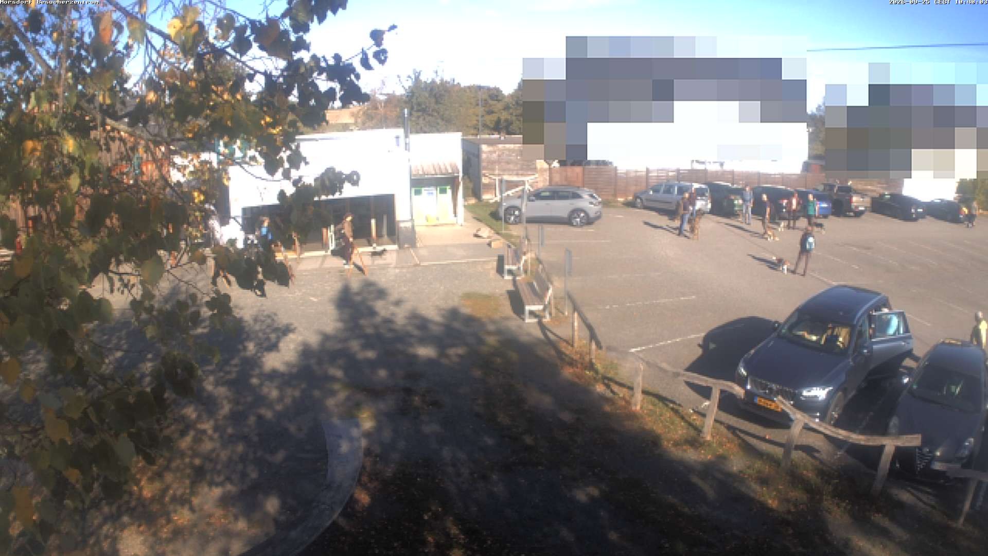 Archiv Foto Webcam Besucherzentrum Geierlay in Mörsdorf