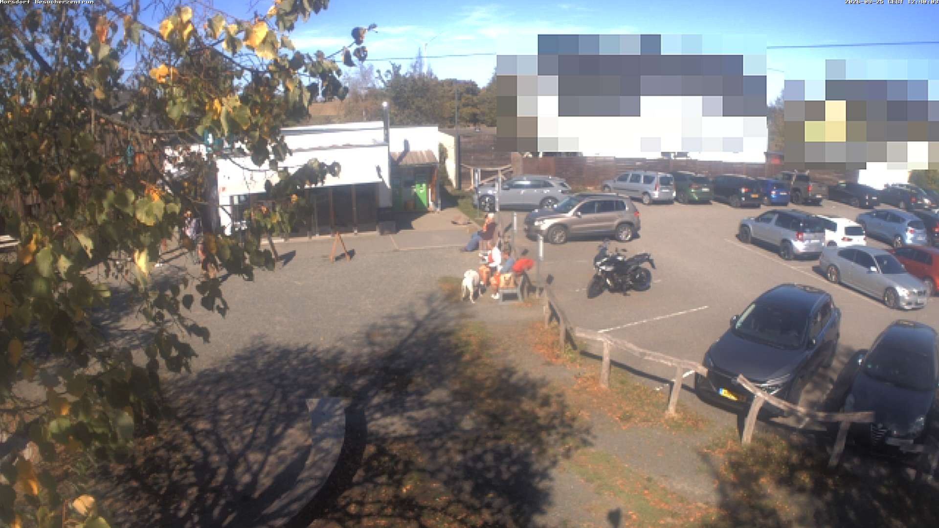 Archiv Foto Webcam Besucherzentrum Geierlay in Mörsdorf