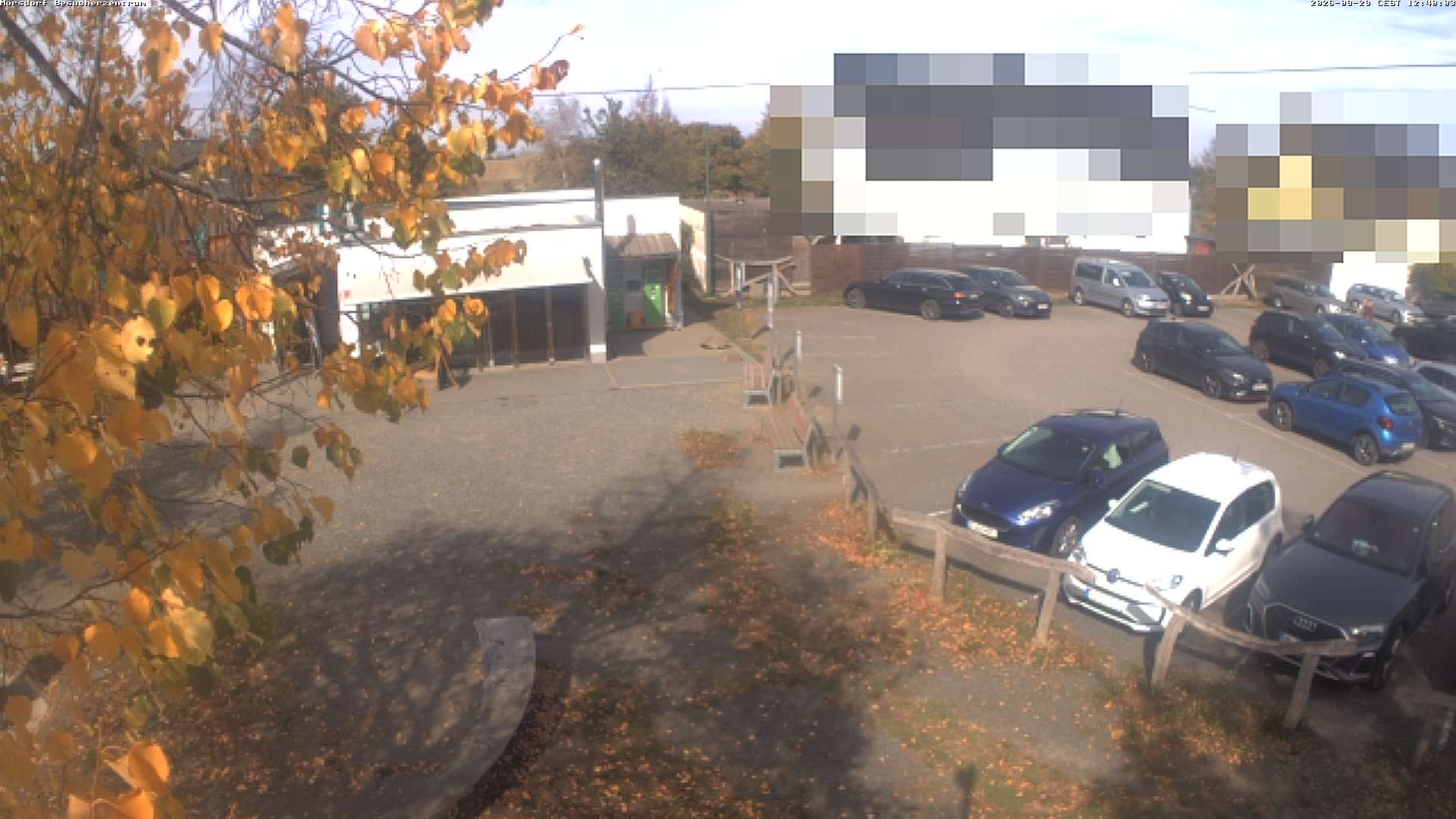 Archiv Foto Webcam Besucherzentrum Geierlay in Mörsdorf