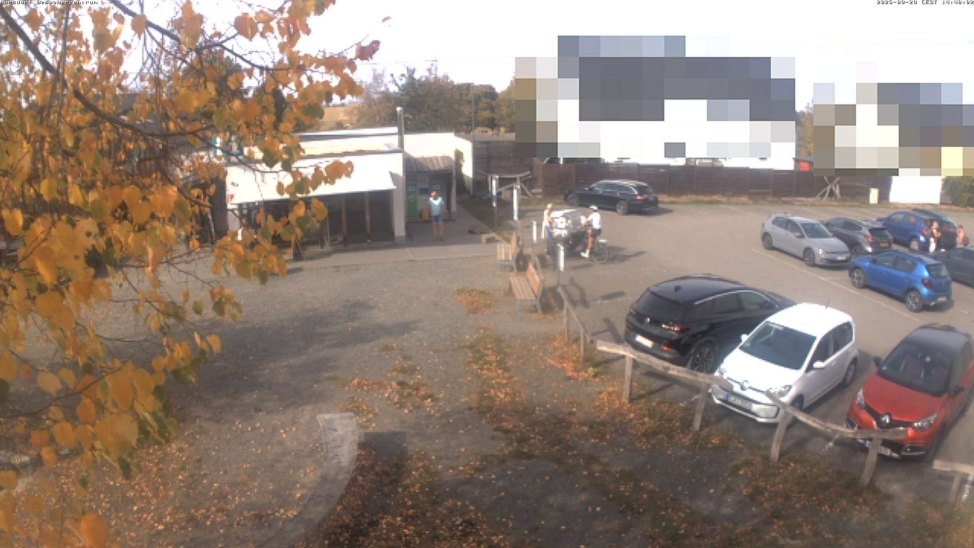 Archiv Foto Webcam Besucherzentrum Geierlay in Mörsdorf