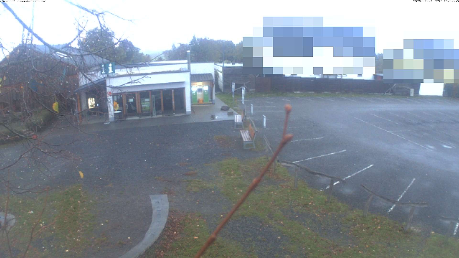 Archived image Webcam Geierlay Visitor Centre in Mörsdorf