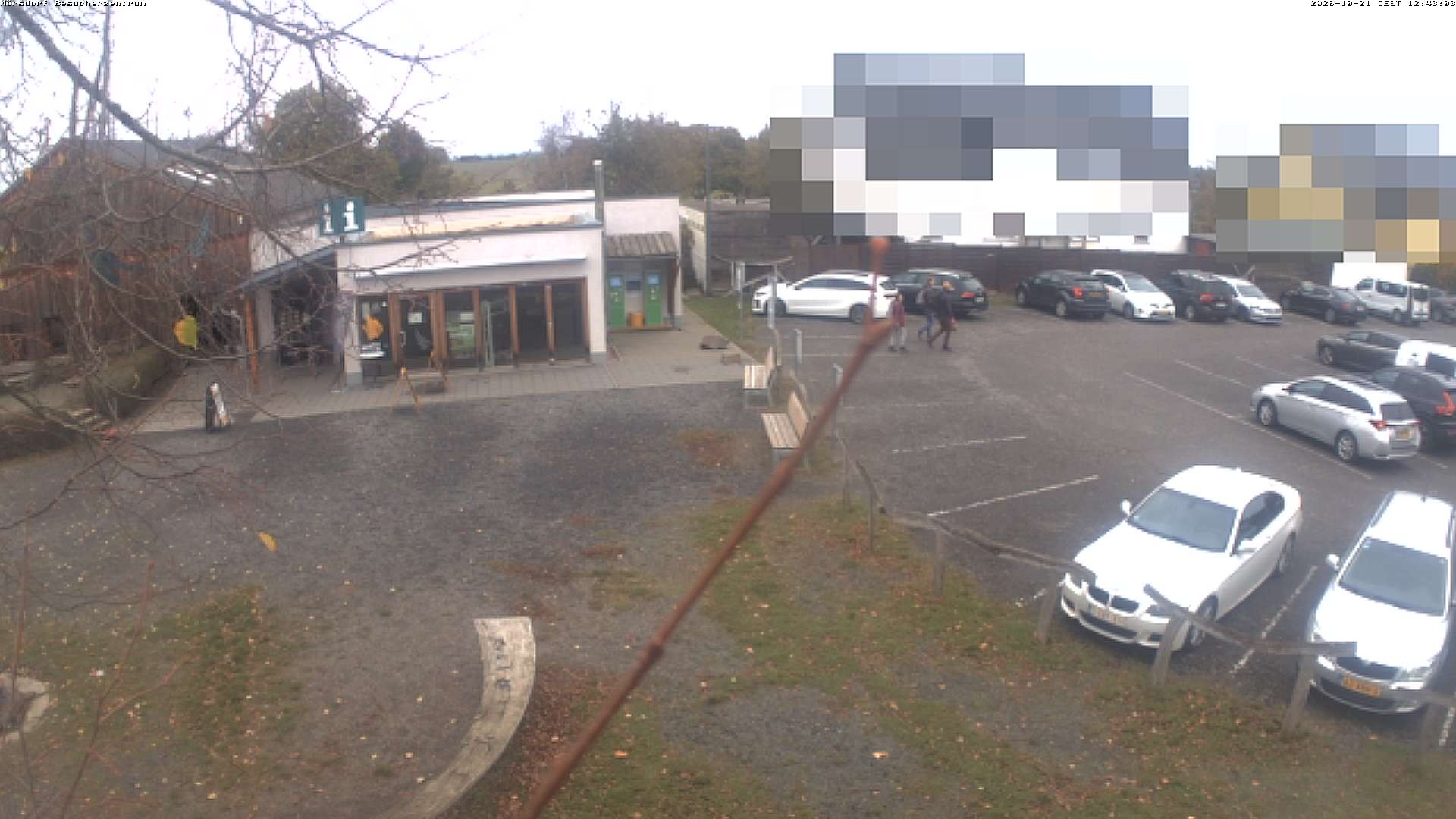 Archived image Webcam Geierlay Visitor Centre in Mörsdorf