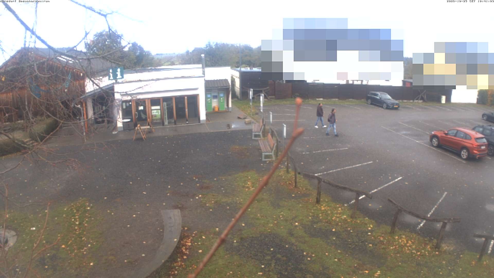 Archiv Foto Webcam Besucherzentrum Geierlay in Mörsdorf
