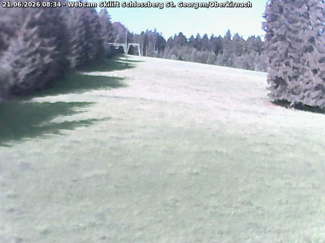 Archived image Webcam St. Georgen - Oberkirnach Schlossberg