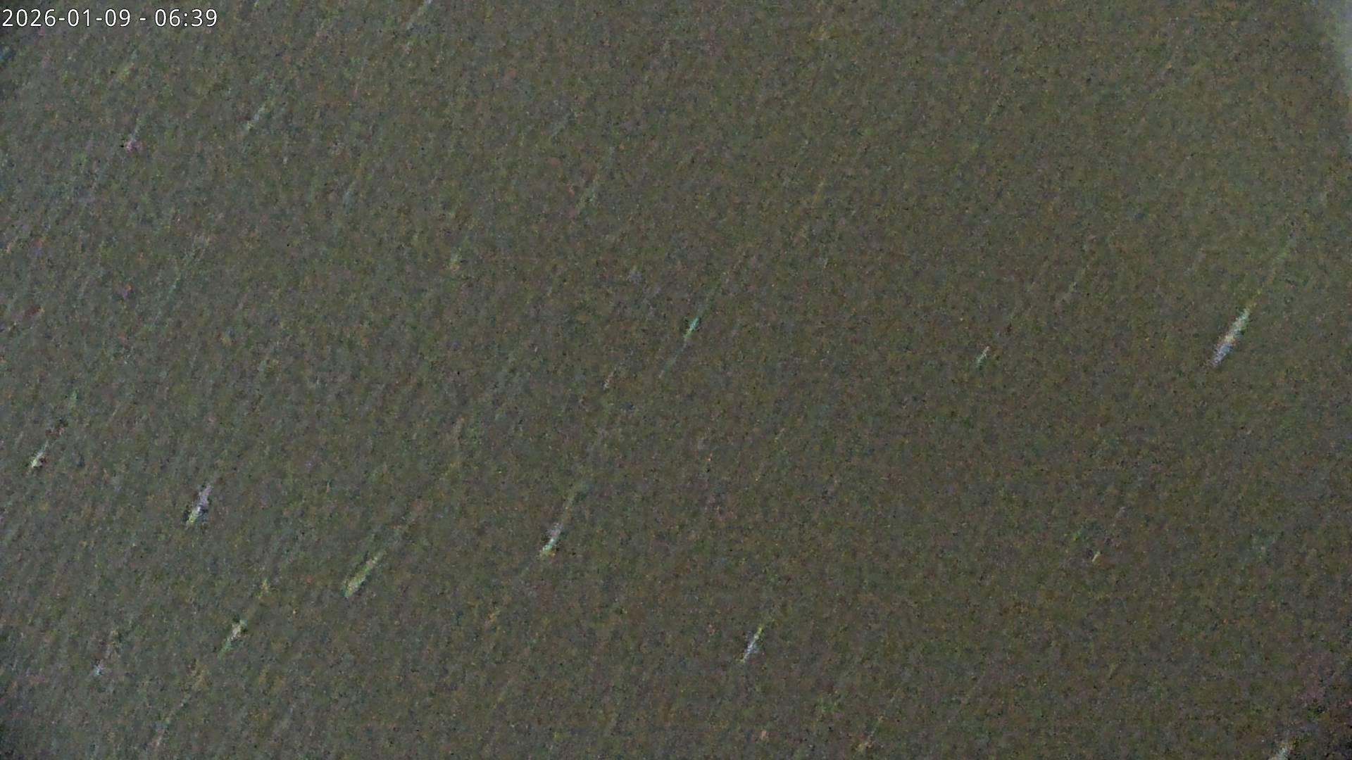 Archiv Foto Webcam Sicht auf Rosskogel in Oberperfuss, Tirol