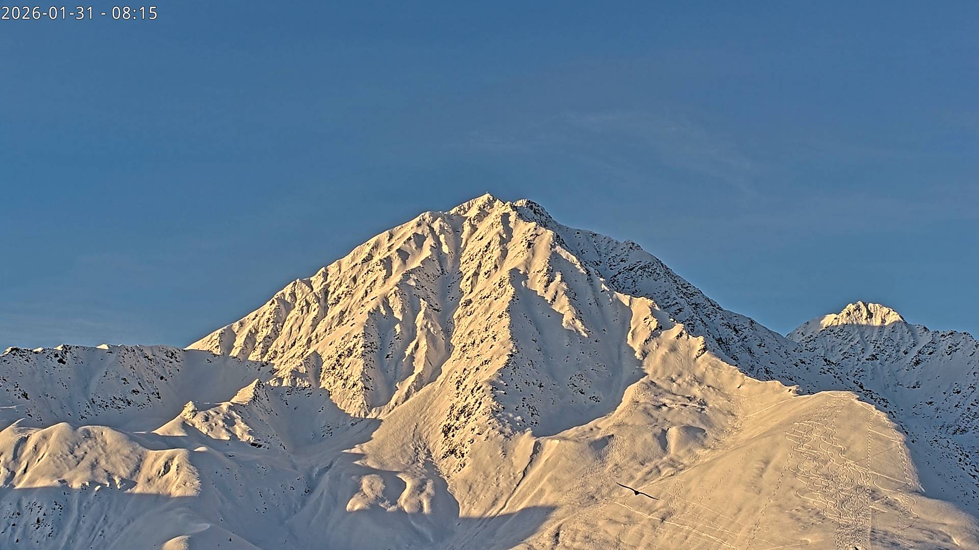Archiv Foto Webcam Sicht auf Rosskogel in Oberperfuss, Tirol