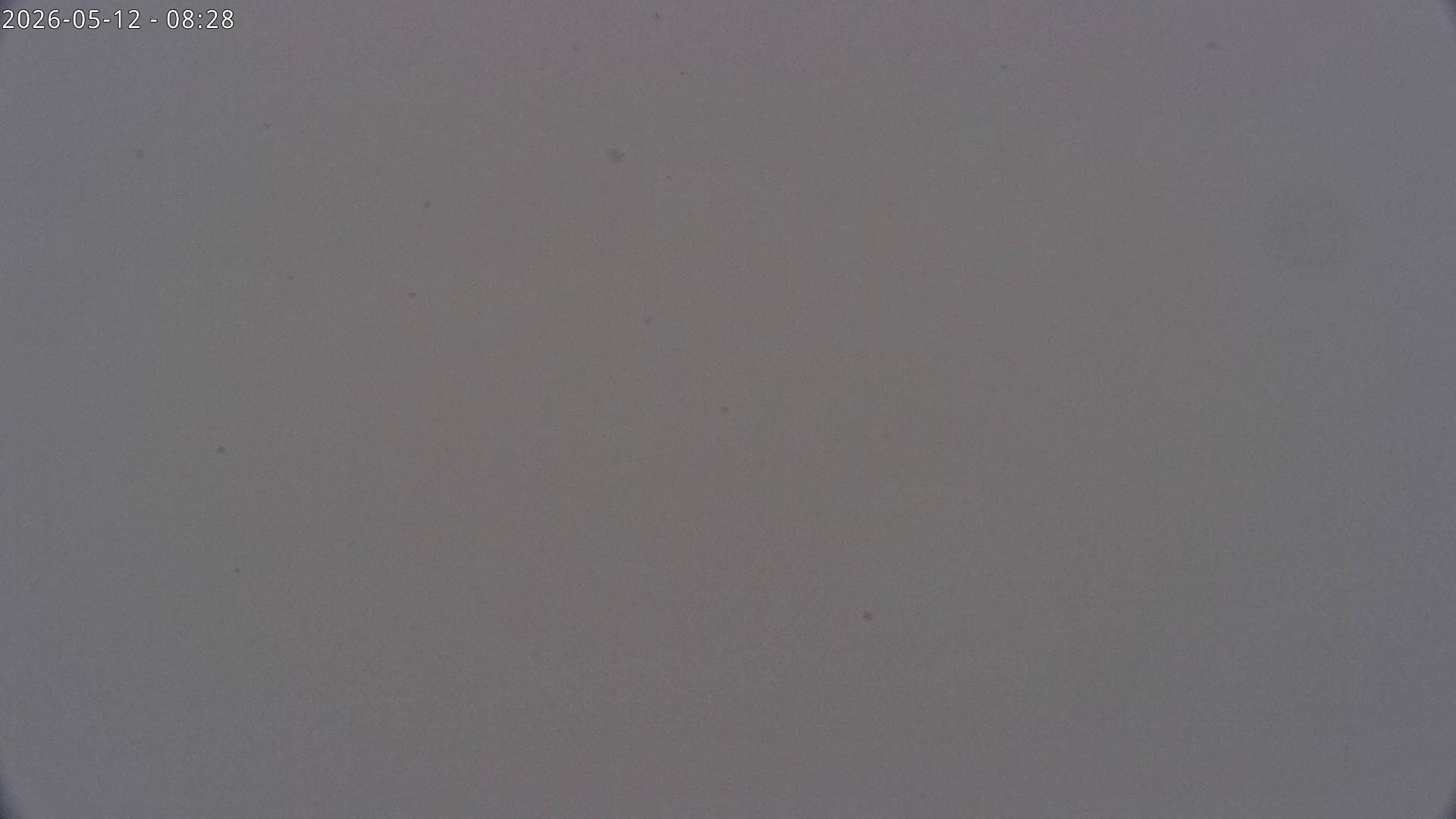 Archived image Webcam View towards Rosskogel, Oberperfuss (Tyrol)