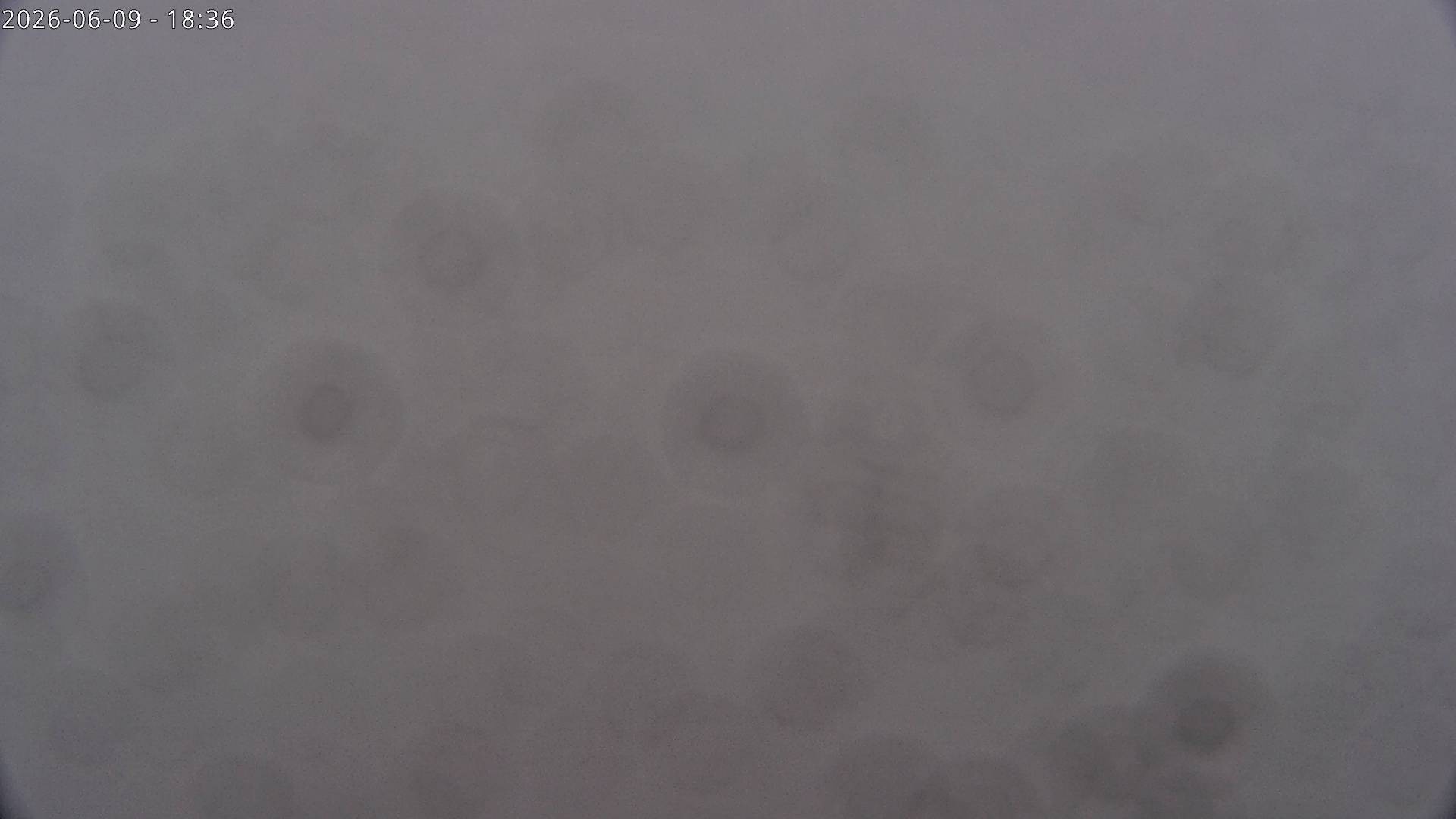 Archiv Foto Webcam Sicht auf Rosskogel in Oberperfuss, Tirol
