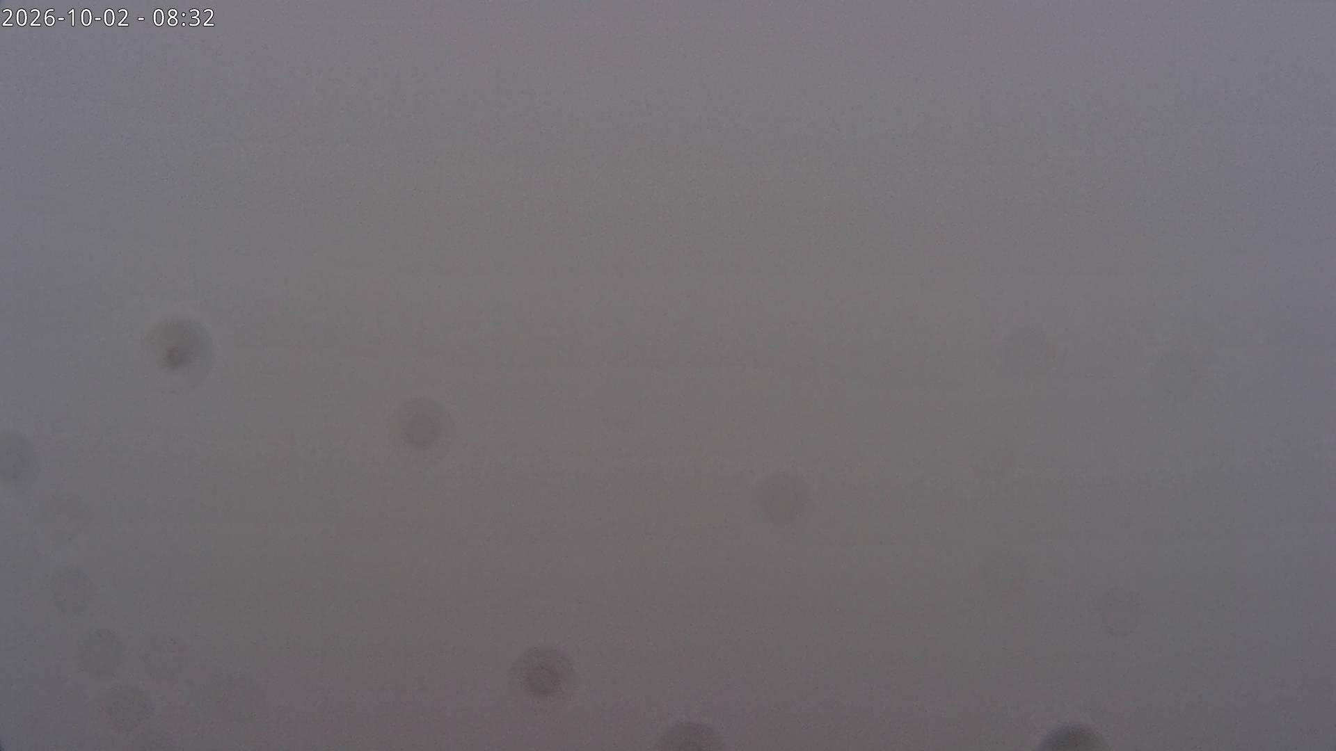 Archiv Foto Webcam Sicht auf Rosskogel in Oberperfuss, Tirol