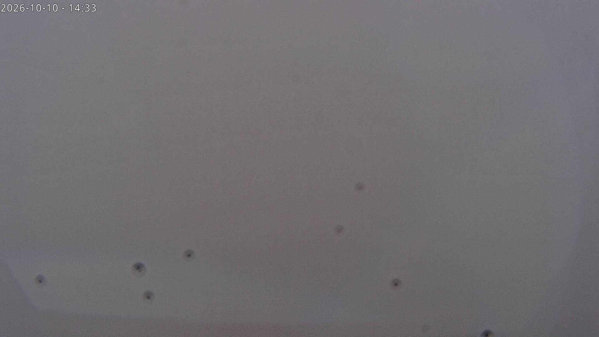 Archiv Foto Webcam Sicht auf Rosskogel in Oberperfuss, Tirol