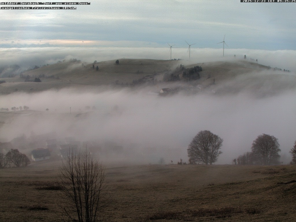 Archiv Foto Webcam Schopfheim - Blick über Gersbach