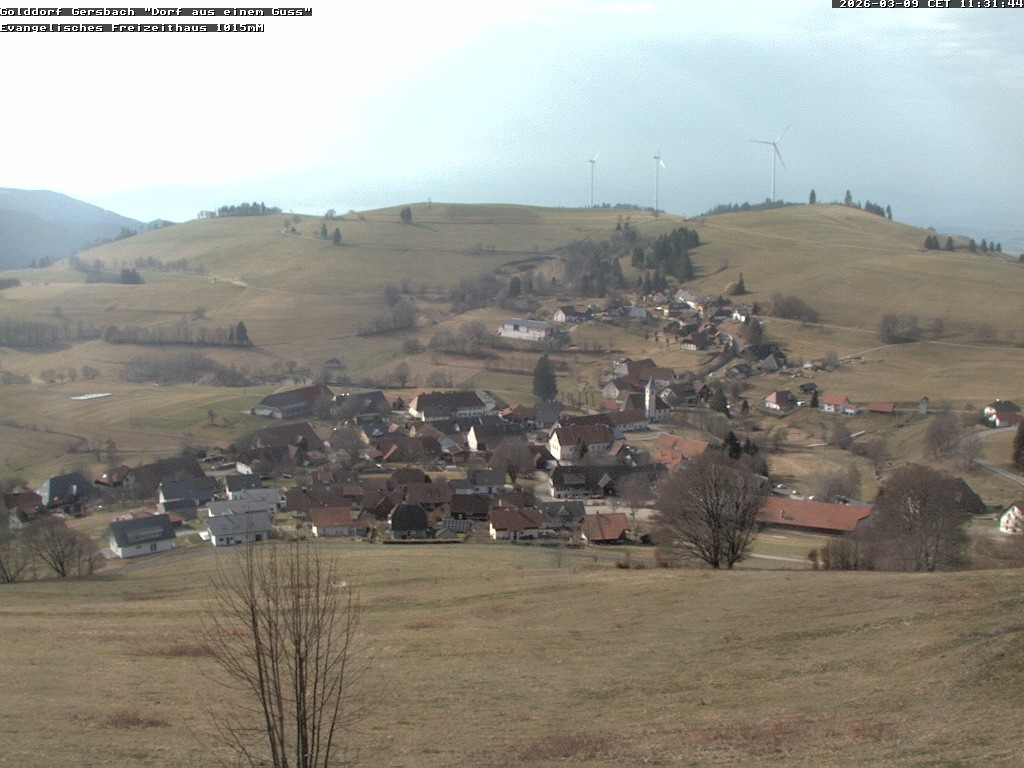 Archiv Foto Webcam Schopfheim - Blick über Gersbach