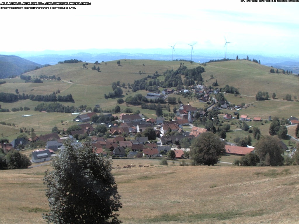 Archiv Foto Webcam Schopfheim - Blick über Gersbach