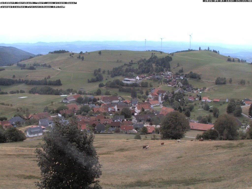 Archiv Foto Webcam Schopfheim - Blick über Gersbach