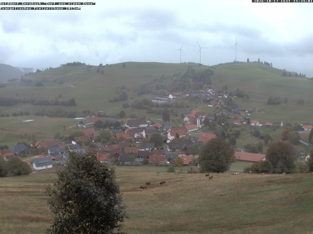 Archiv Foto Webcam Schopfheim - Blick über Gersbach