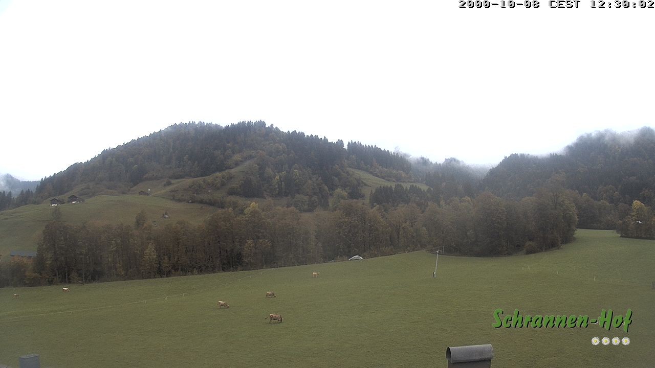 Archiv Foto Webcam Schoppernau: Schrannen-Hof