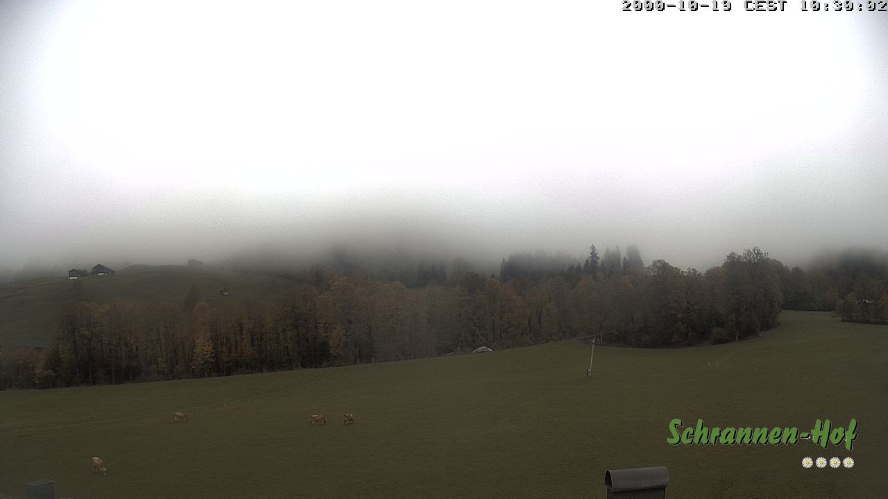 Archiv Foto Webcam Schoppernau: Schrannen-Hof