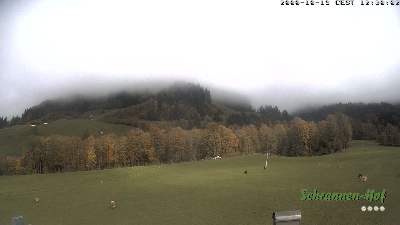 Archiv Foto Webcam Schoppernau: Schrannen-Hof