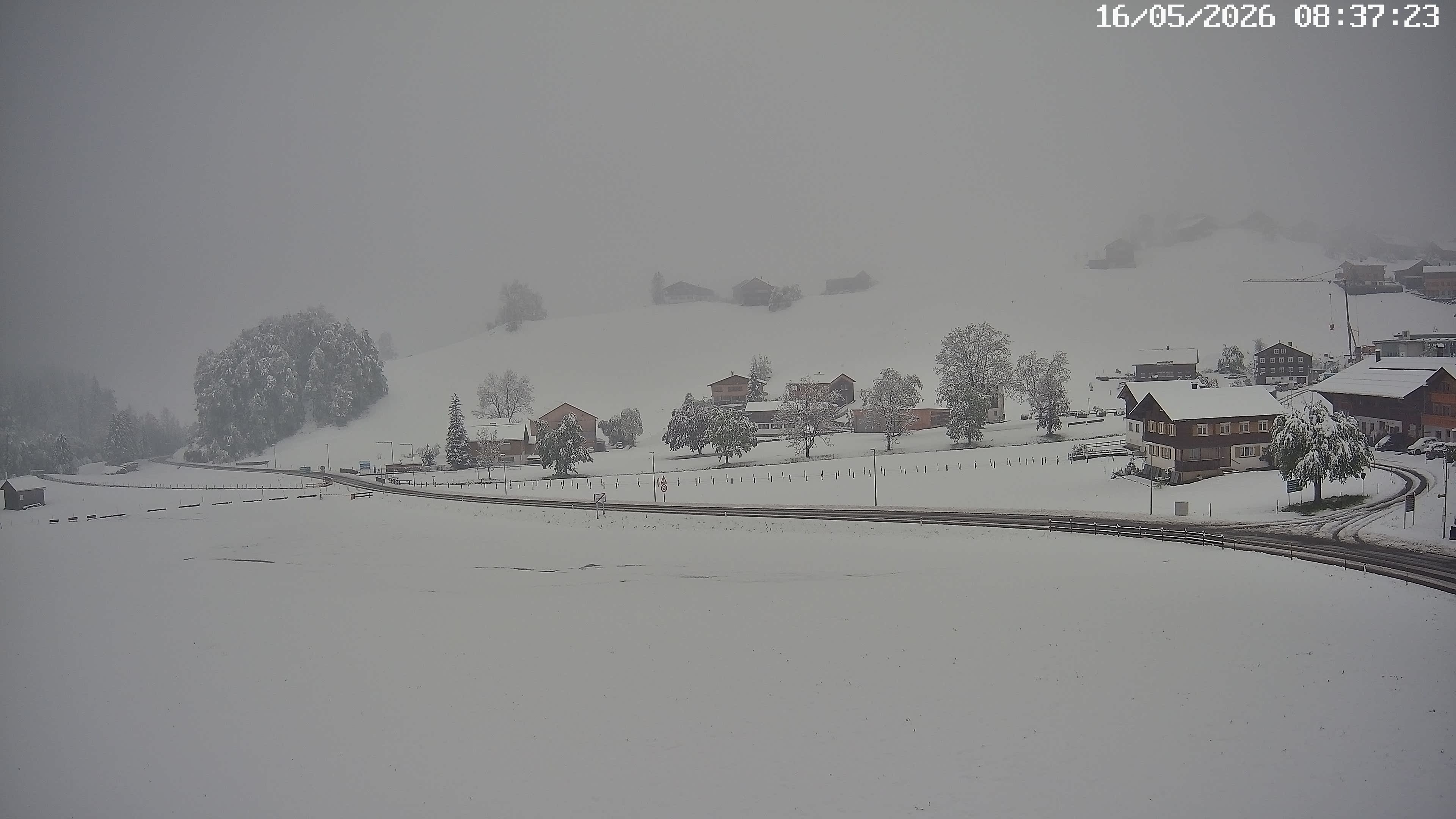 Archiv Foto Webcam Schoppernau: Ausblick Hotel Elisabeth